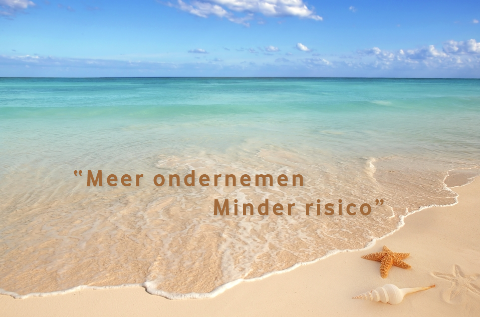 meer ondernemen, minder risico